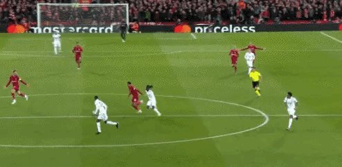 1677010932724001883.gif IMG_6059.gif