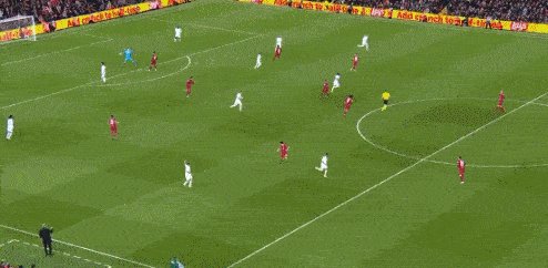 1677012807718004045.gif IMG_6069 (1).gif